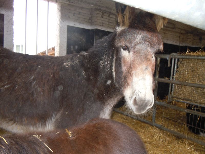 El miércoles 9 de marzo el alumnado de 2º de primaria visitamos casa Gurbindo. El trayecto, de ida y vuelta, lo hicimos en el trenecito. Allí realizamos el taller de [&hellip;]
