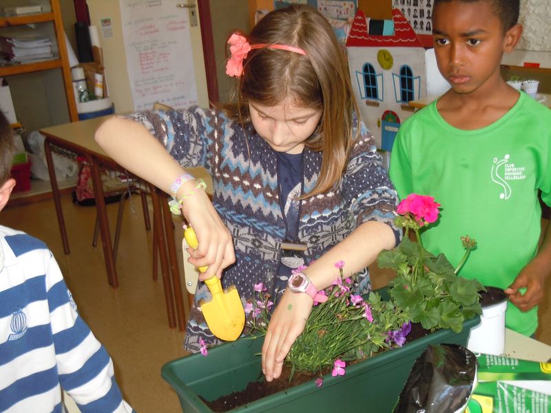 El pasado jueves, 28 de abril, las clases de 2º primaria se convirtieron en improvisados jardines y huertos. El objetivo era conocer de forma experimental los oficios relacionados con las [&hellip;]