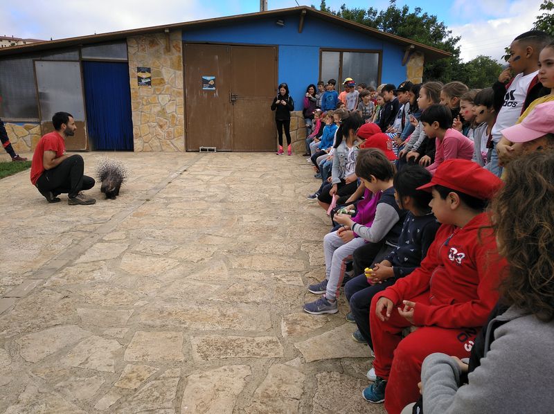 El día 18 de junio todo el alumnado de 1º de primaria hicimos la excursión de fin de curso a Basabere, una granja escuela ubicada en Lezáun. Allí, entre cabras, [&hellip;]