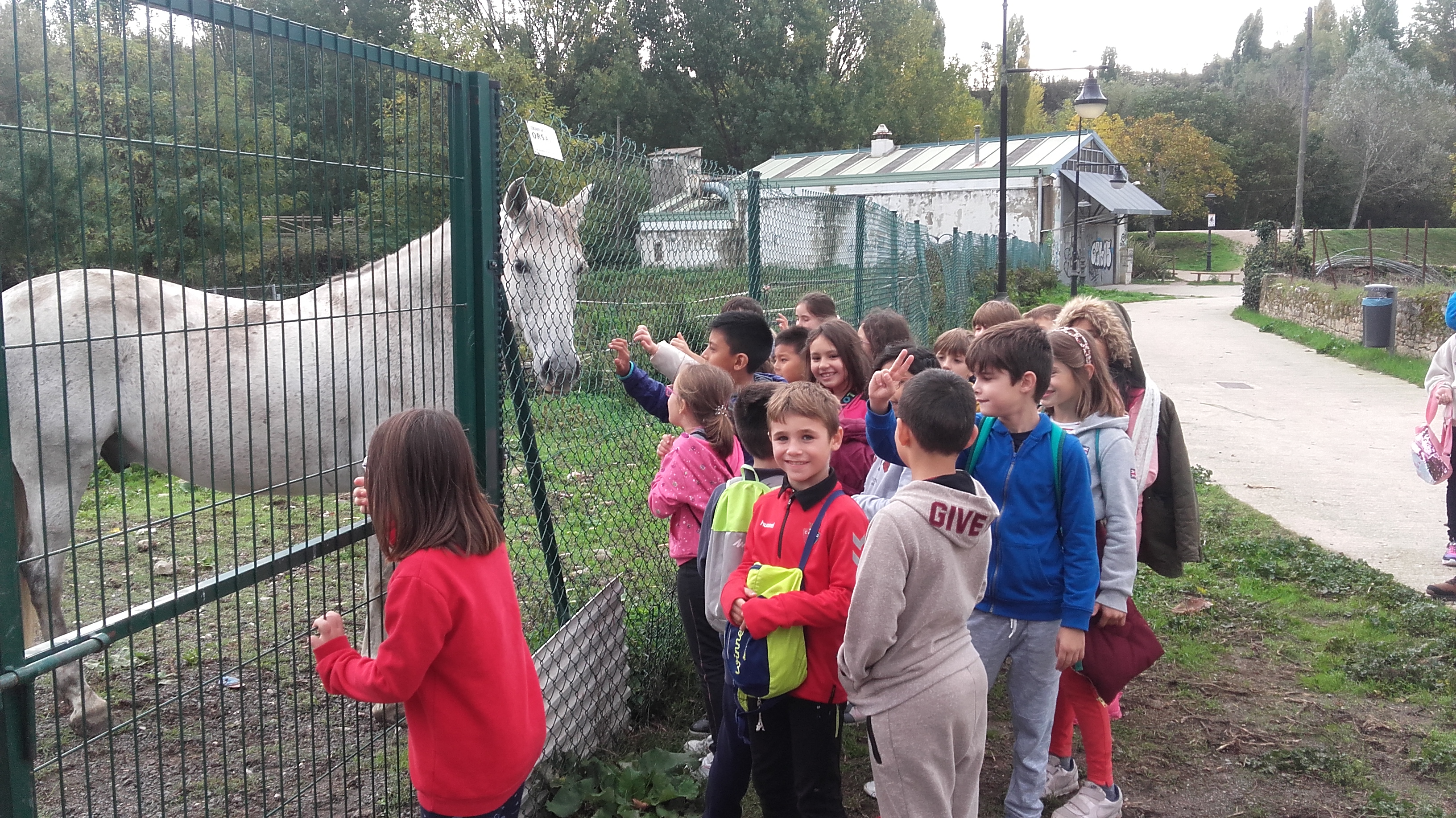 Las clases de 3º visitaron la Nogalera de Burlada este pasado mes de octubre. Durante la visita y gracias a la guía puesta por la mancomunidad, disfrutaron de un paseo [&hellip;]