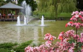 The three groups of Grade 4, walked to Yamaguchi park to practice their shading skills. First, they spent more than an hour by the pond, trying their best to draw [&hellip;]