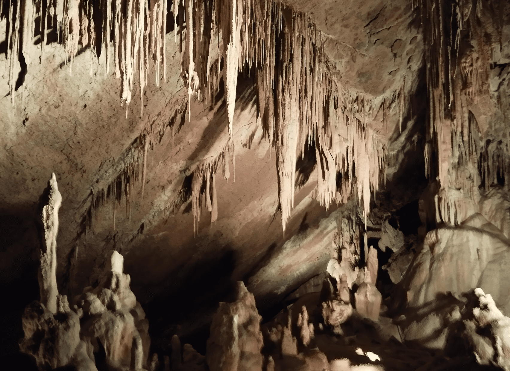 Para finalizar el curso escolar el alumnado de 3º A y B junto con sus profesoras han visitado la cueva de Mendukilo en Astitz (Navarra). Comenzaron recibiendo información sobre la [&hellip;]