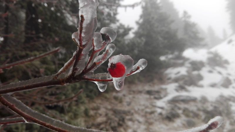 Un año el alumnado de 6º de primaria participó en la campaña de esquí en Isaba. A pesar de haber poca nieve, el alumnado pudo esquiar durante toda la semana. [&hellip;]