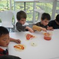               El 19 de Mayo, el alumnado de infantil fuimos a Casa de Gurbindo, donde visitamos el establo, hicimos pizza, plantamos lechugas y para […]